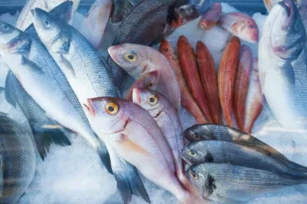 Морская или речная? В чем польза и вред разной рыбы и как ее готовить
