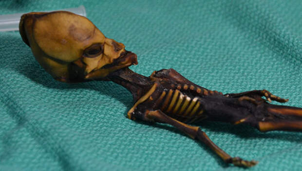 Атакамский гуманоид, найденный в 2003 году в пустыне в Перу