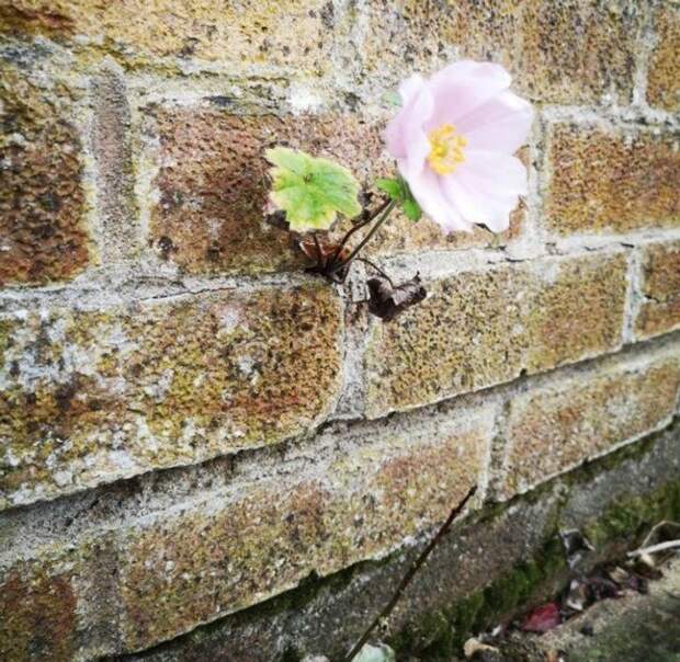 Снимки, на которых природа показала, кто на самом деле главный