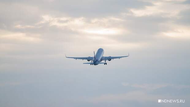 Туроператоры вывезли из ОАЭ всех организованных российских туристов