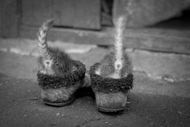 Вот иногда хочешь послать человека, а понимаешь, что смысла-то нет.. .. Он - абориген этого места