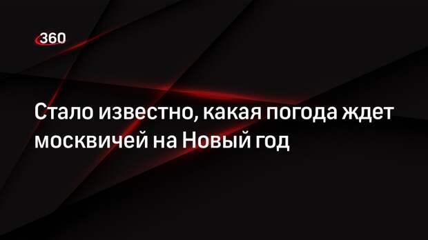 Главный синоптик Роман Вильфанд пообещал москвичам снежные новогодние каникулы