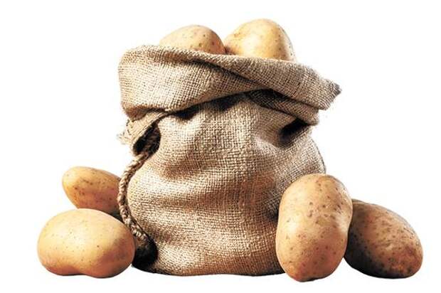 Россия заняла пятое место в мире по производству картофеля
