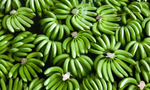 В СССР продавались зеленые бананы / Фото: yaadmarket.com