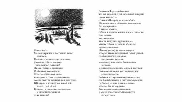 И смех, и слезы, и любовь. 9 книг, «написанных» собаками