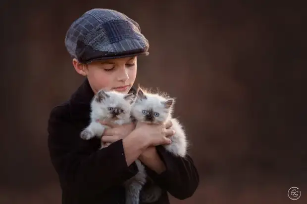 �������������� ������������ �����