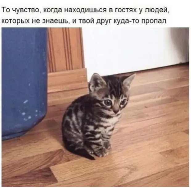 Немного Улыбнуло