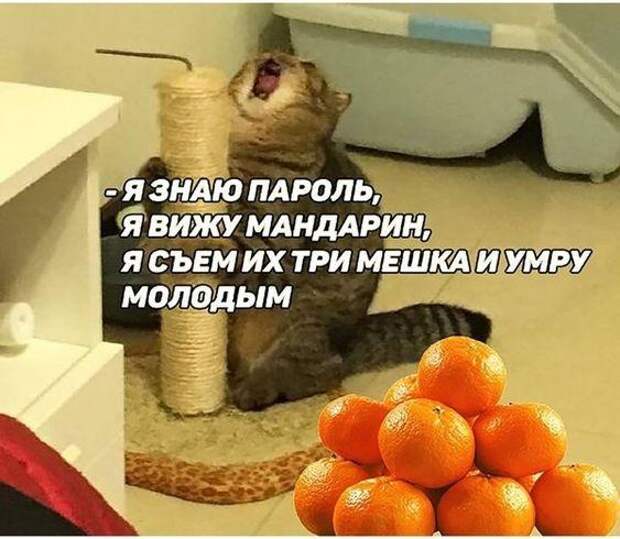Свежие картинки с надписями на сегодняшний день (вторник)