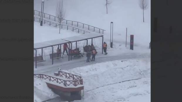 "Трудолюбиво жить не запретишь": пока мигранты качаются на качелях, русские мужики убирают снег с улиц