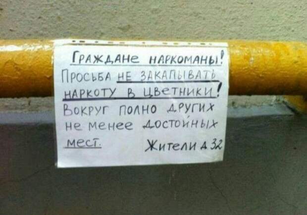 Вашим наркотикам не место в нашем саду. | Фото: Приколы - bigmir)net. Вашим наркотикам не место в нашем саду Фото Приколы bigmirnet
