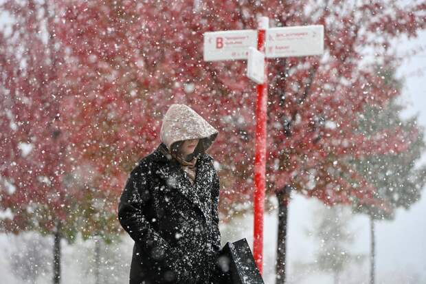 Москвичей призвали готовиться к мокрому снегу и гололедице