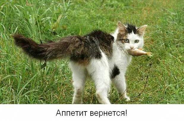 Не унывай! :) (22фото)