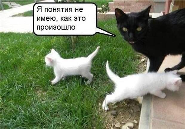Всяко - разно 19 ))) Всяко - разно 19 )))