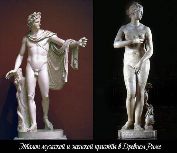 Апполон Апполон
