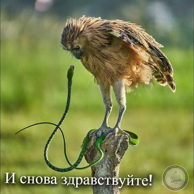И снова здравствуйте!