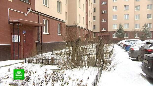 Жители двух пятиэтажек в деревне Виллози незаметно «переехали» из Ленобласти в Петербург