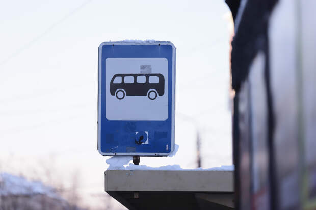 Минтранс добавит низкопольный автобус на маршрут "Тула – Щёкино – Советск"