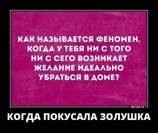 Веселые и грустные жизненные демотиваторы обо всем на свете