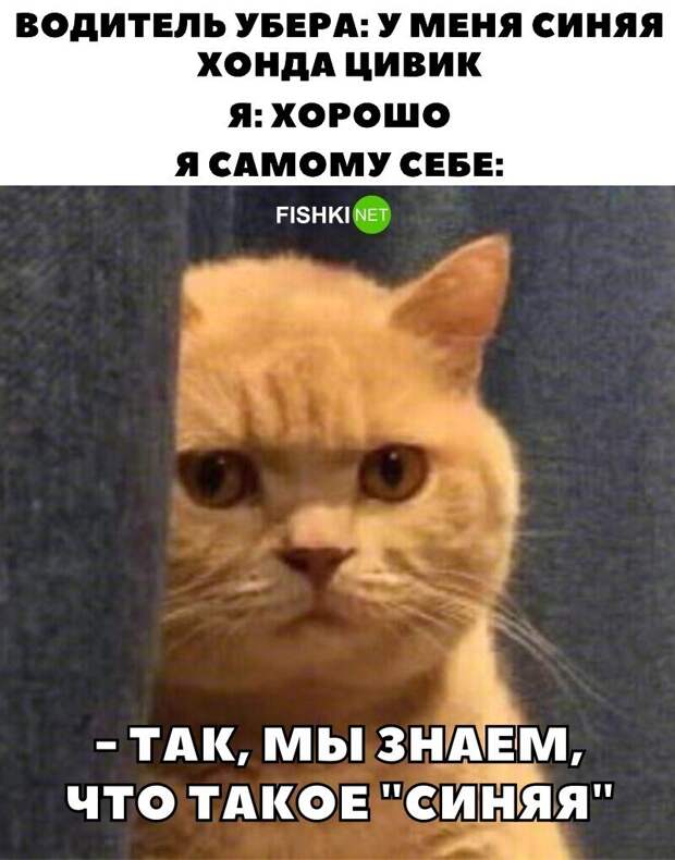 Жизненно? Жизненно?