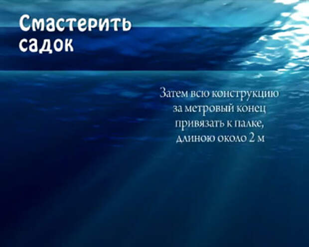 Речные раки-3 Речные раки-3