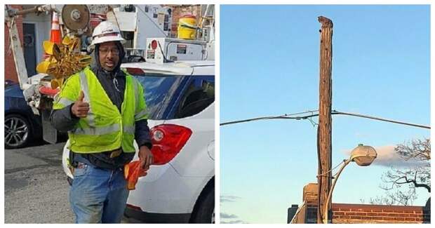 Спас кошку, но проштрафился перед начальством