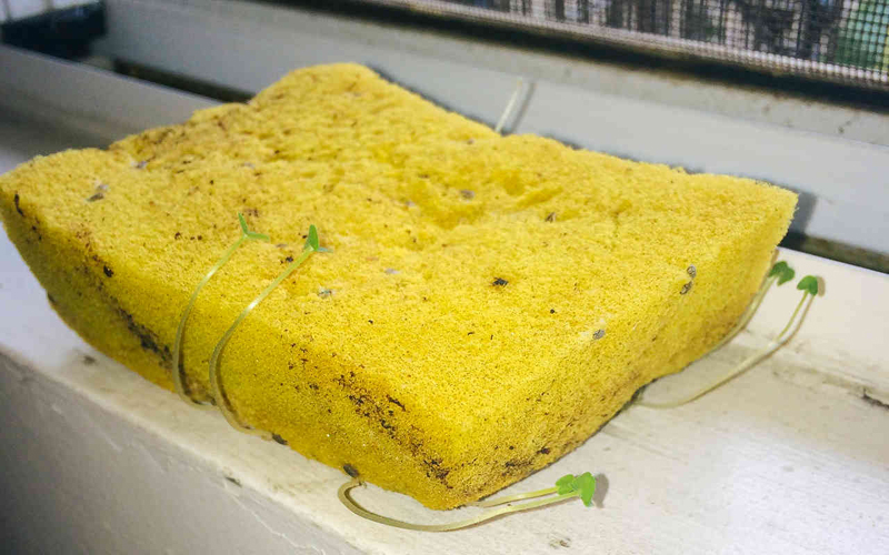 Самые грязные места в любой квартире