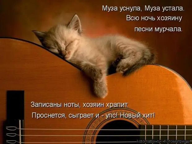 Лучшие котоматрицы