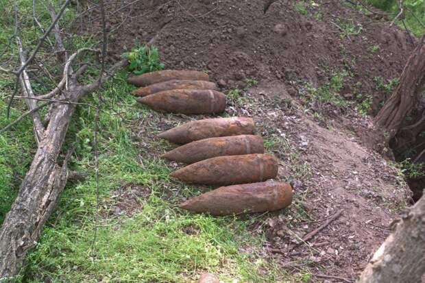 Нашёл, гуляя по лесу: на Кубани обнаружили 17 боеприпасов со времён войны