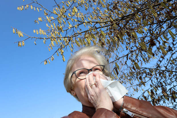 Врач Усачёва: таяние снега грозит приступами аллергии и обострением астмы