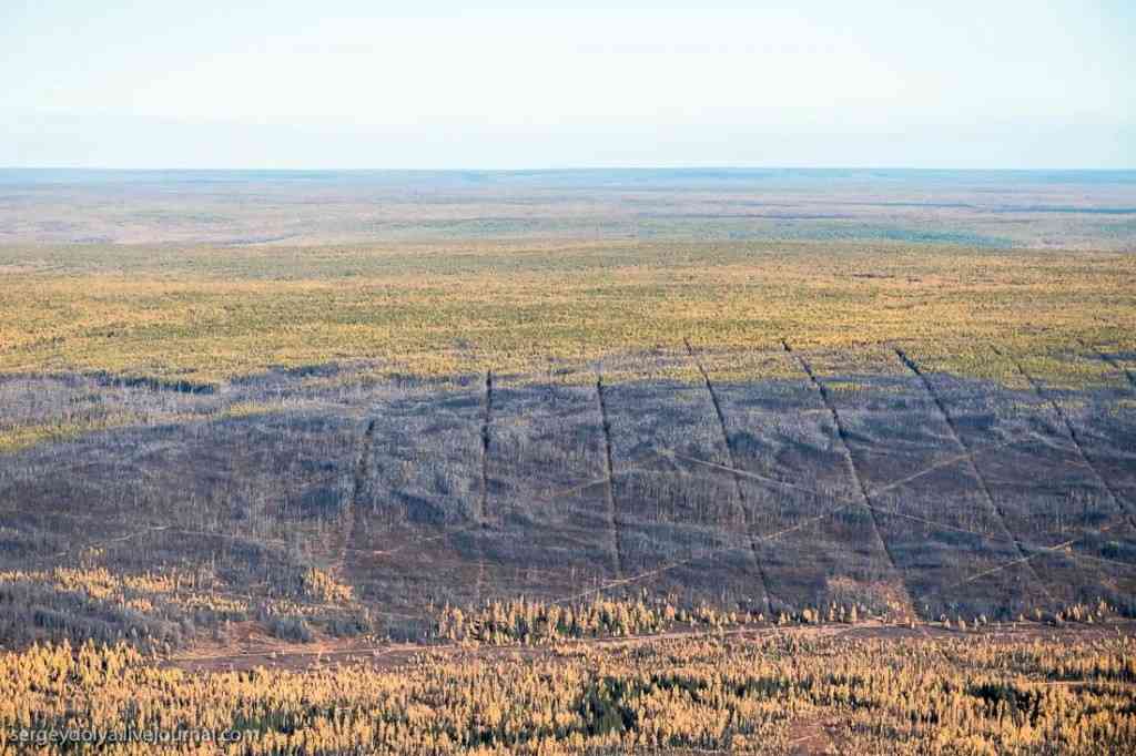 Сибирь после пожара