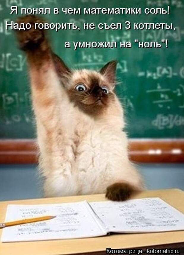 Лучшие котоматрицы недели (50 фото) Лучшие котоматрицы недели (50 фото)