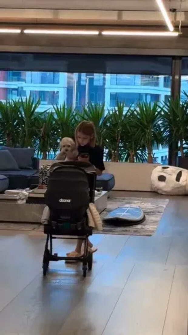 Алиса с Эммой