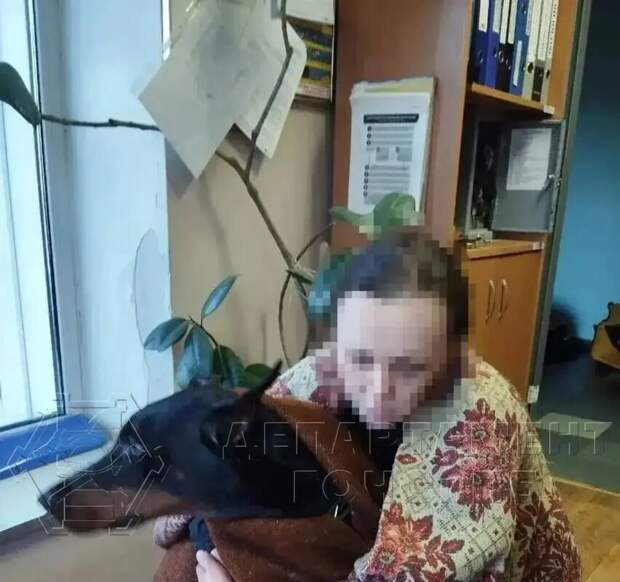 В Москве женщина с доберманом провалилась под лед