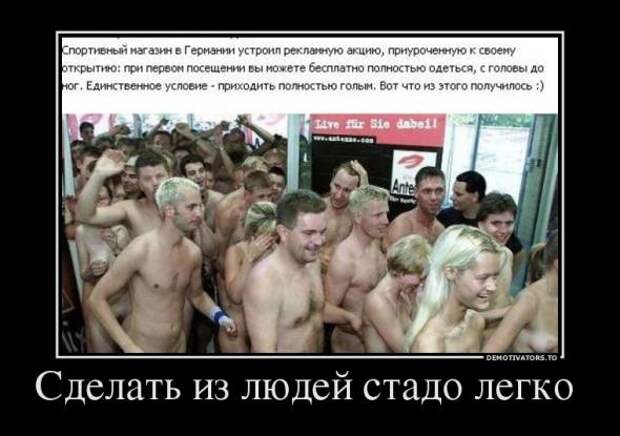 Демотиваторы
