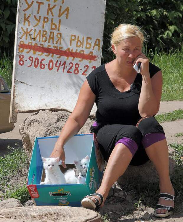 Надписи,объявления и прочее
