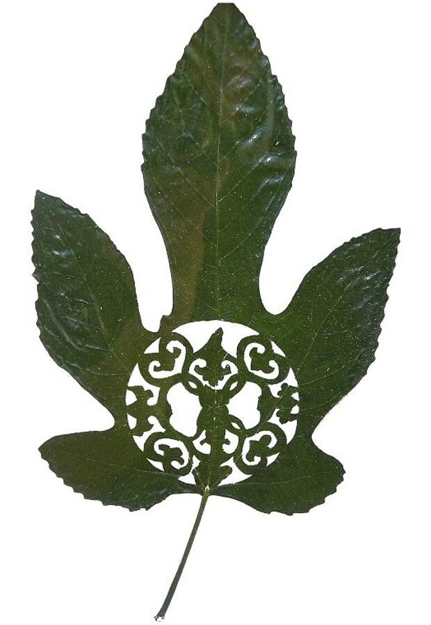 HOJA3.JPG