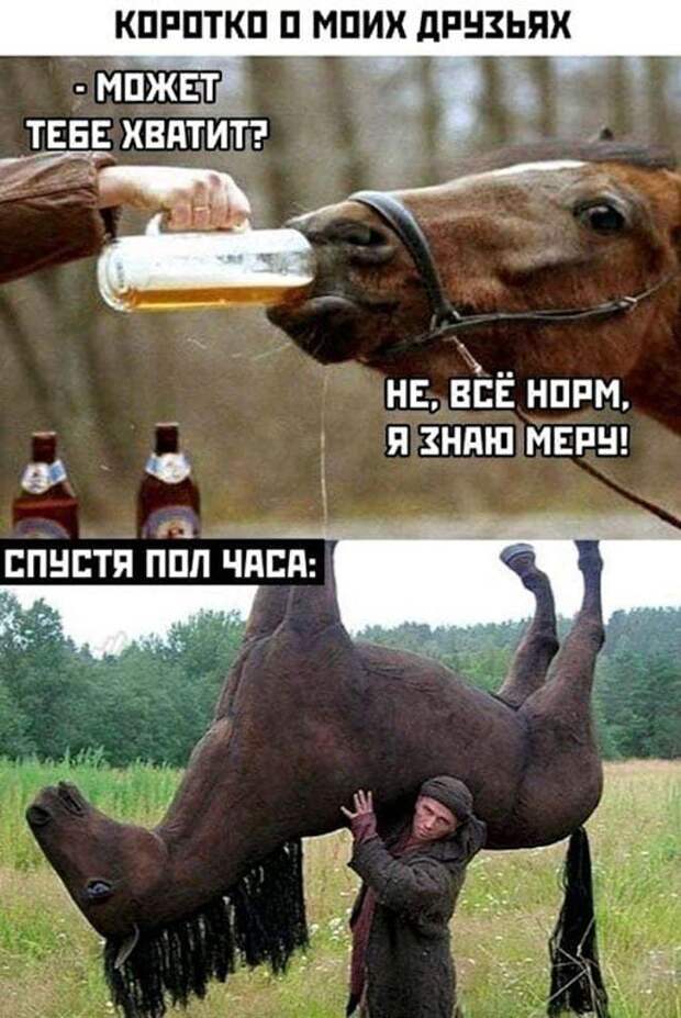 Мемы и приколы про алкоголь после прошедших выходных
