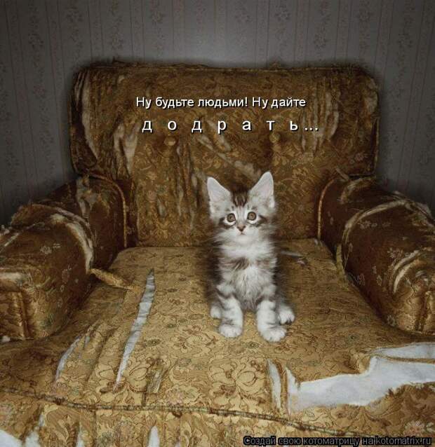 Котоматрица: Ну будьте людьми! Ну дайте д   о   д   р   а   т   ь ...