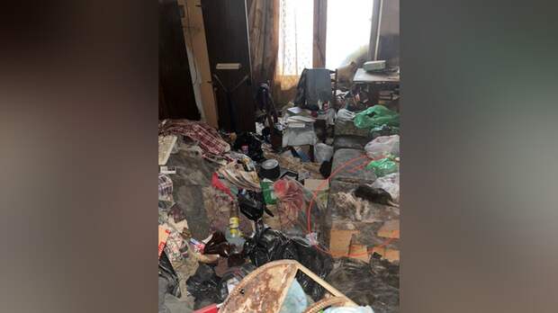 Москвичка обнаружила в соседней квартире труп, пролежавший там год