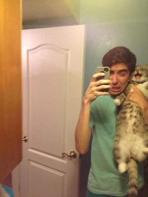 Котики