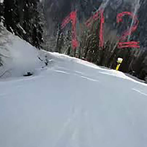 Волк погнался за отдыхающим на горнолыжном курорте в России мужчиной и попал на видео