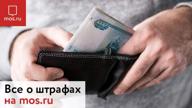 Оперативно оплатить штраф автомобилистам поможет портал mos.ru. Фото: mos.ru