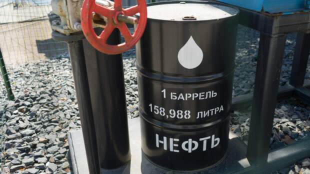 Президент Шри-Ланки обратился к Путину с просьбой о поставках нефти