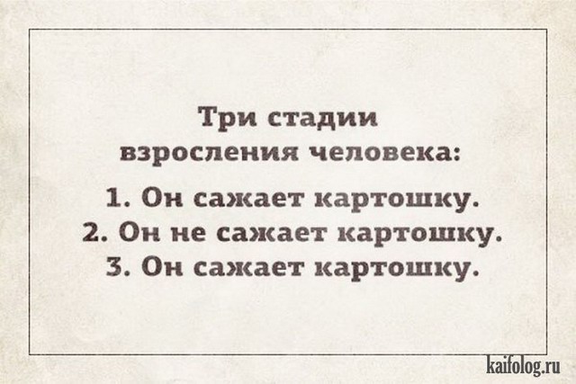 Текстовый юмор (40 открыток) Текстовый юмор (40 открыток)