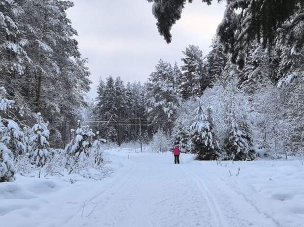 Друг Усольцева раскрыл страшную догадку об исчезновении семьи