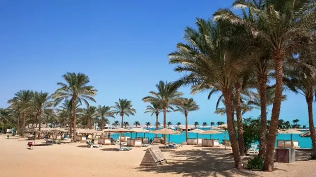 Россия предложила Египту создать группу по мониторингу ситуации с туристами