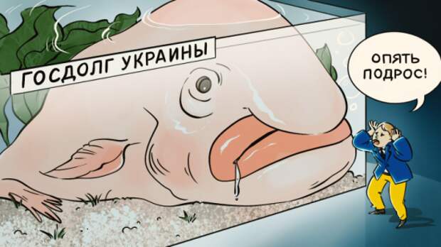 Украины готовится к списанию долгов: пойдет ли МВФ на поводу у Киева
