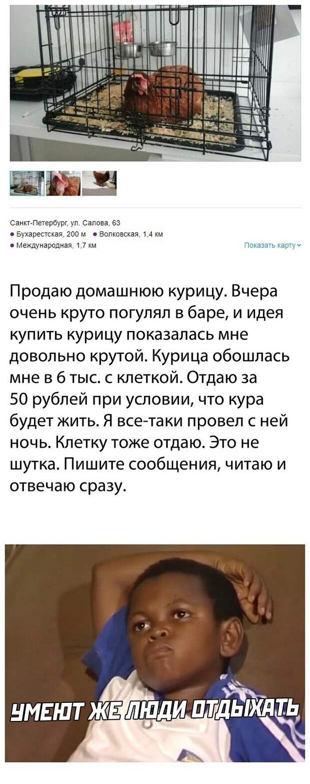 Комментарии и картинки из соцсетей