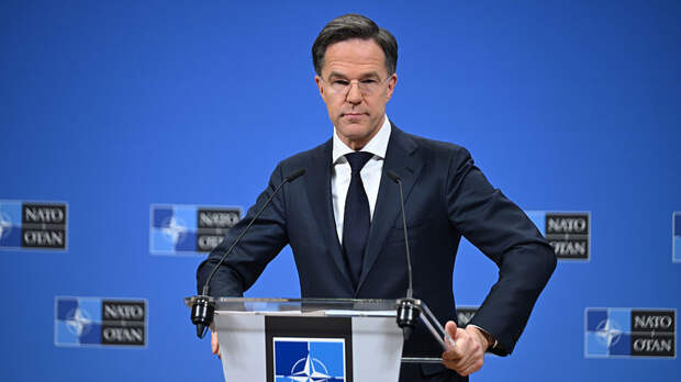 Песков заявил, что НАТО будет трансформироваться из-за новых реалий