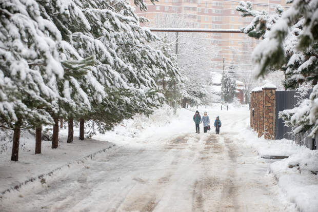 В Тульской области ожидаются сильный снег, ветер и снежные заносы